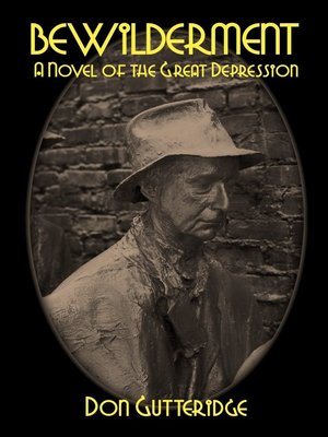 cover image of Bewilderment